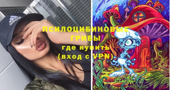 амф Беломорск