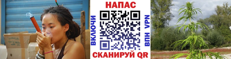 Шишки марихуана SATIVA & INDICA  Будённовск 